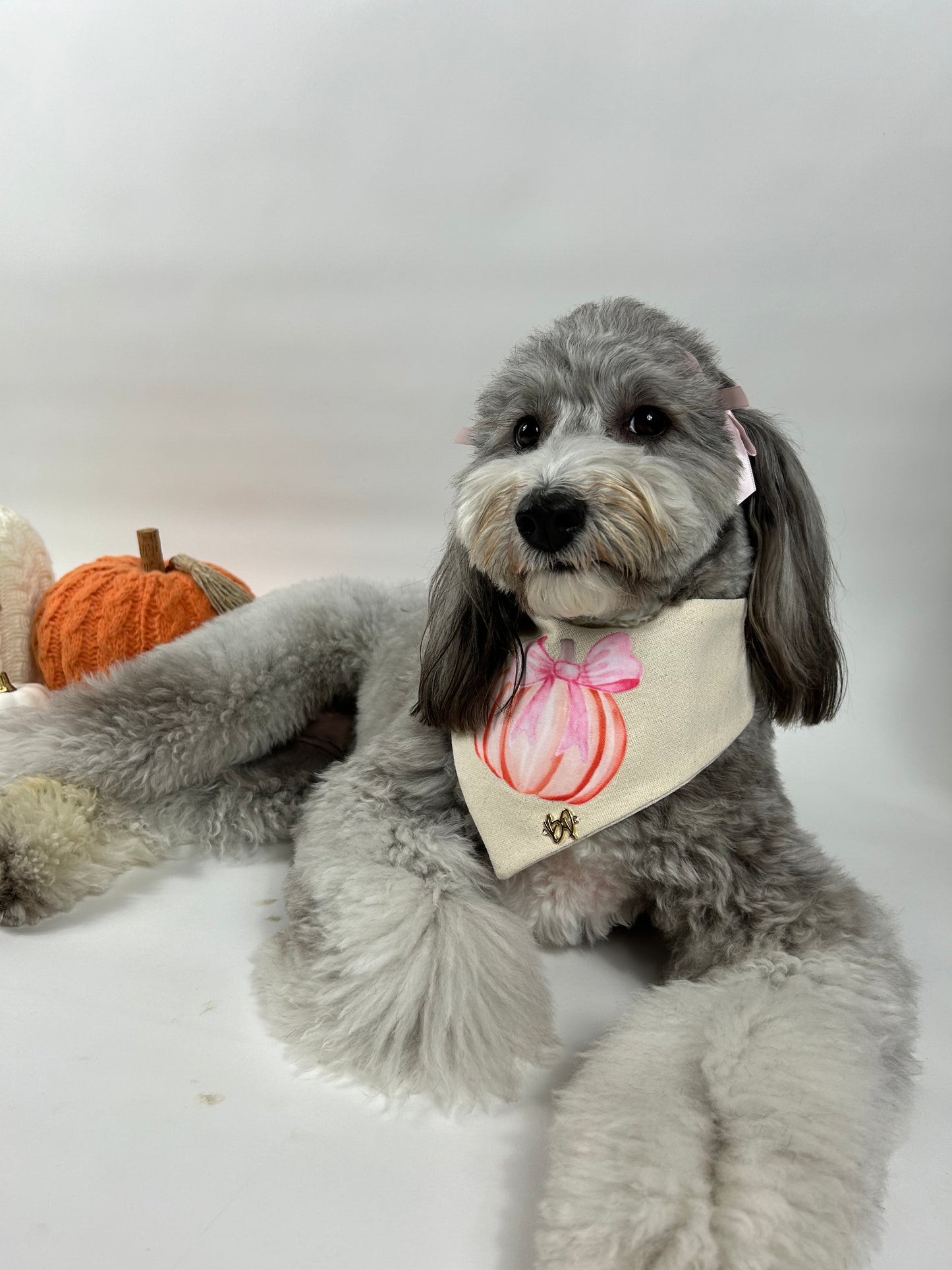 Coquette pumpkin