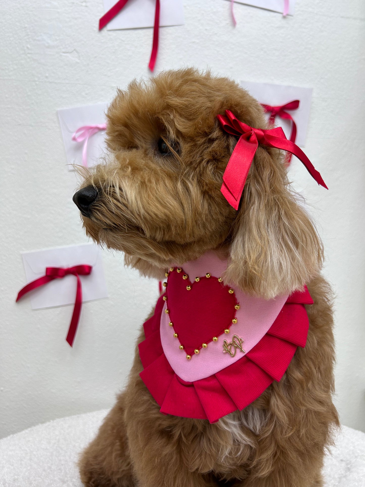 Two Red Bows