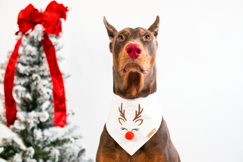 Rudolph