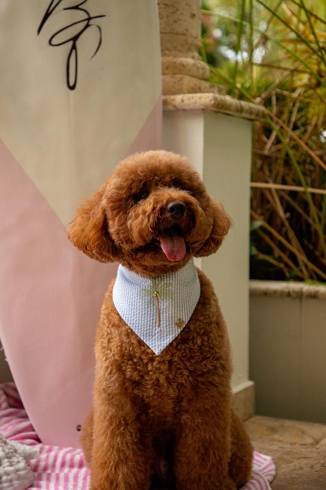 Palm Springs Blue Bandana