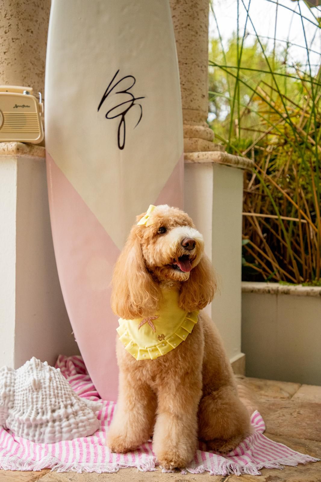 Yellow Pearl Bandana