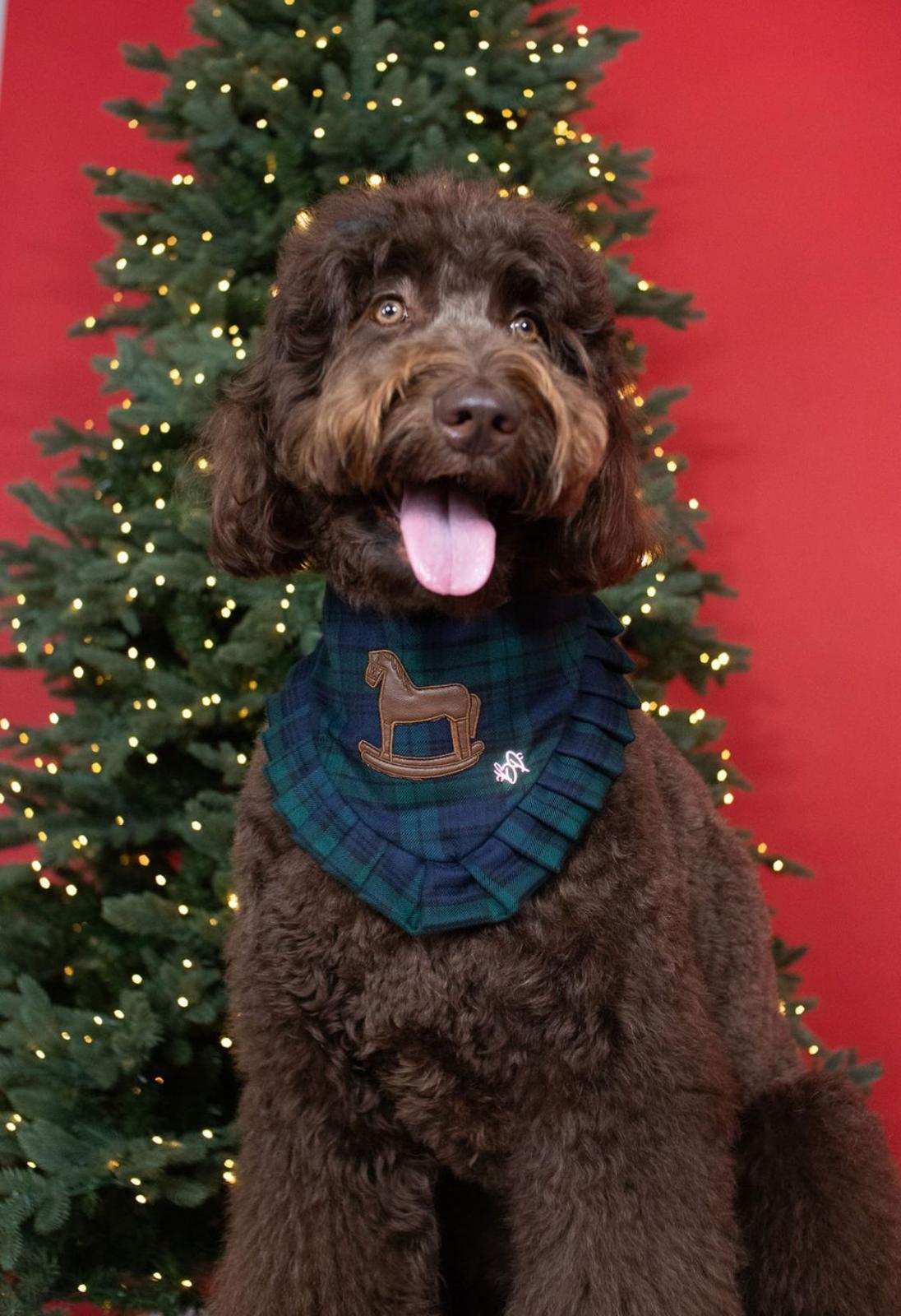 Winter Polo Horse Bandana