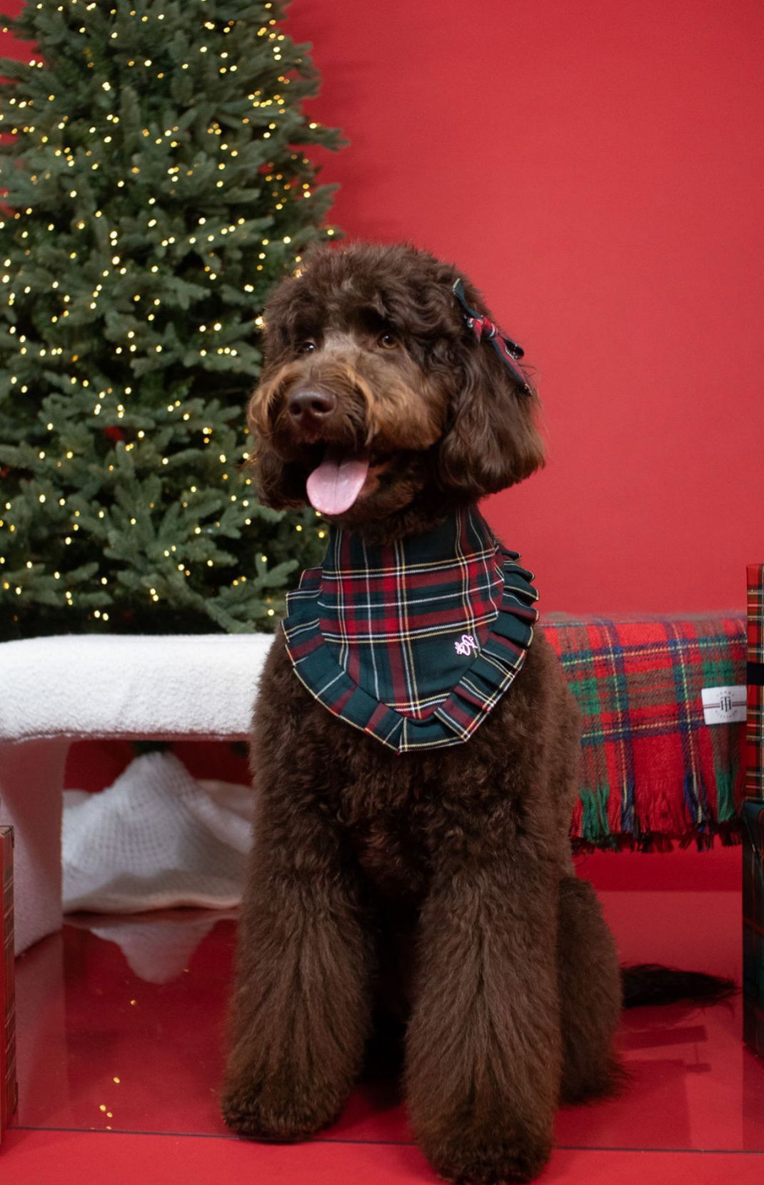 Vintage Holiday Plaid Bandana