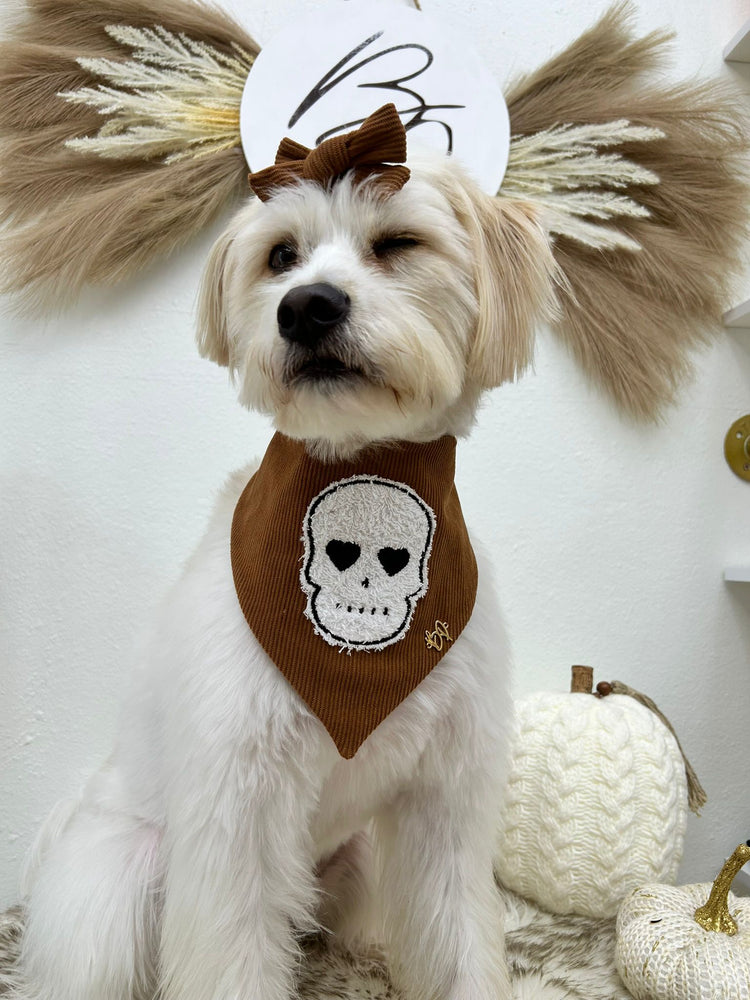 Spooky Cute Collection Halloween 2025