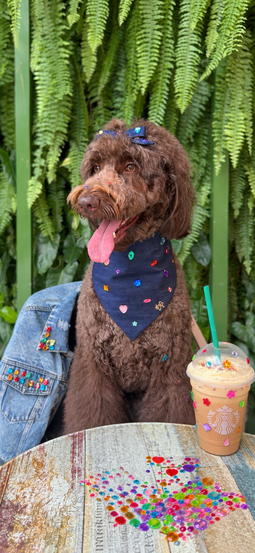 Bedazzle Bandana