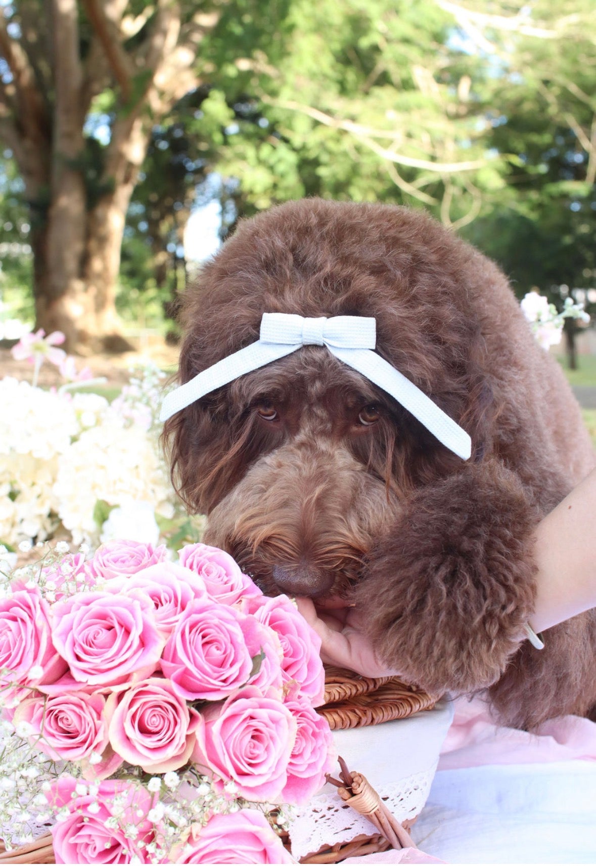 Pocket Garden Hair Bow