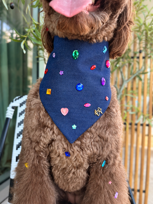 Bedazzle Bandana