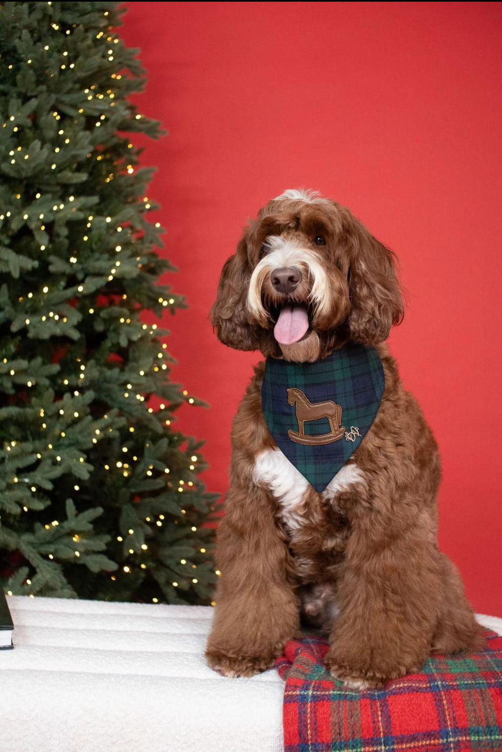 Winter Polo Horse Bandana
