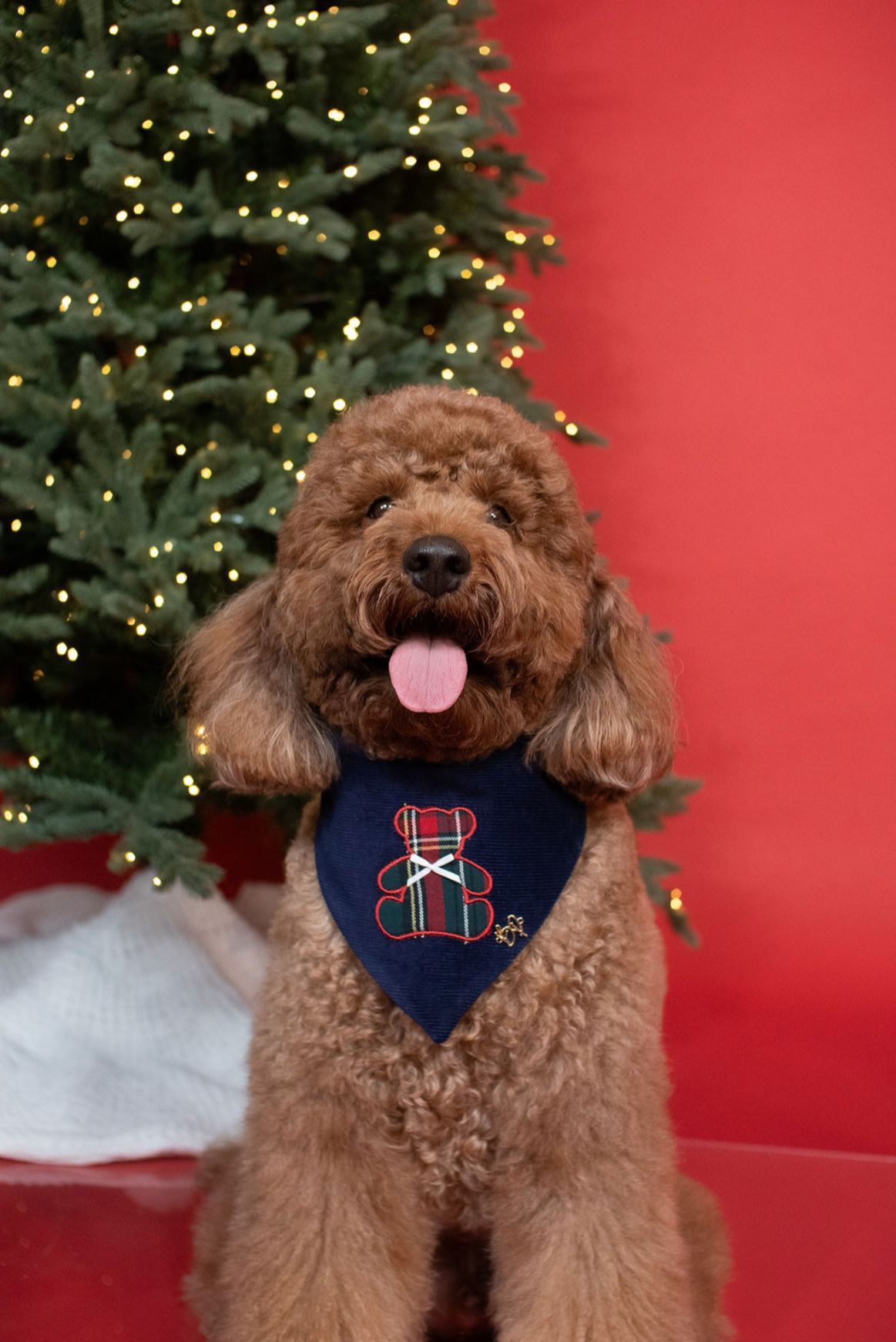 Classic Christmas Teddy Bandana