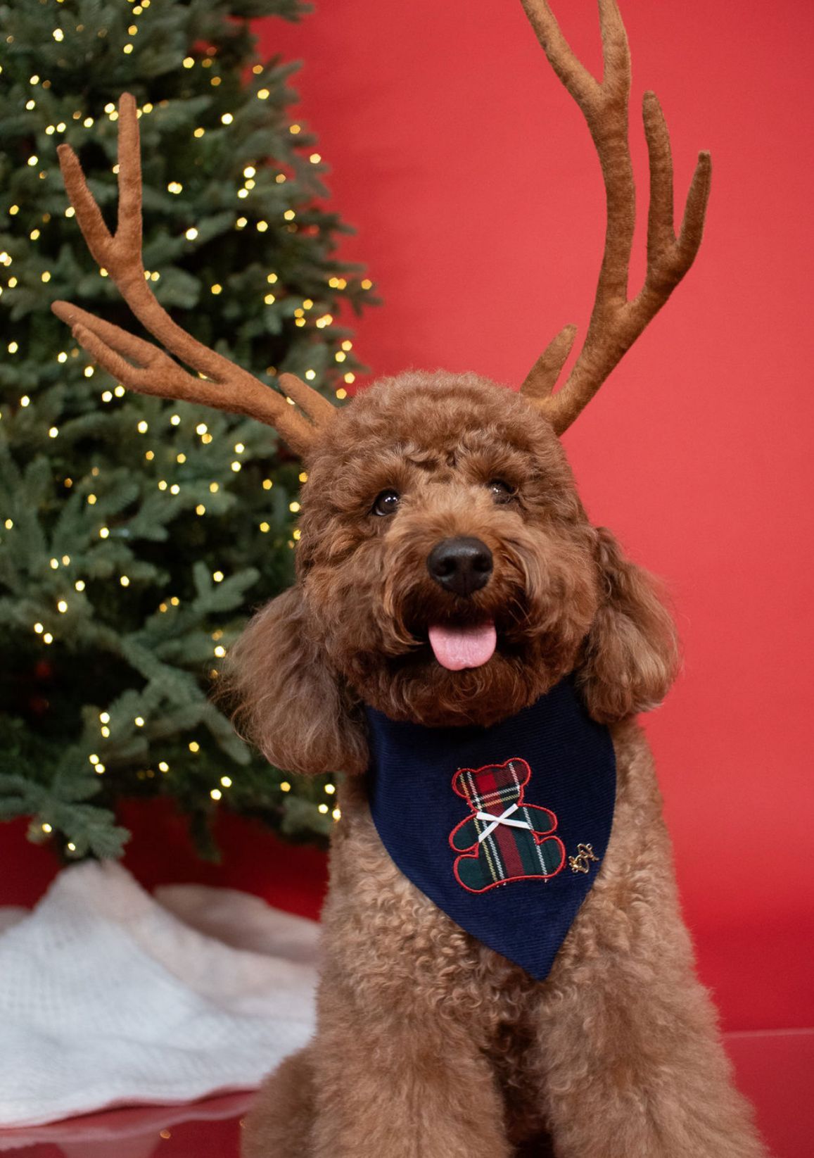Classic Christmas Teddy Bandana