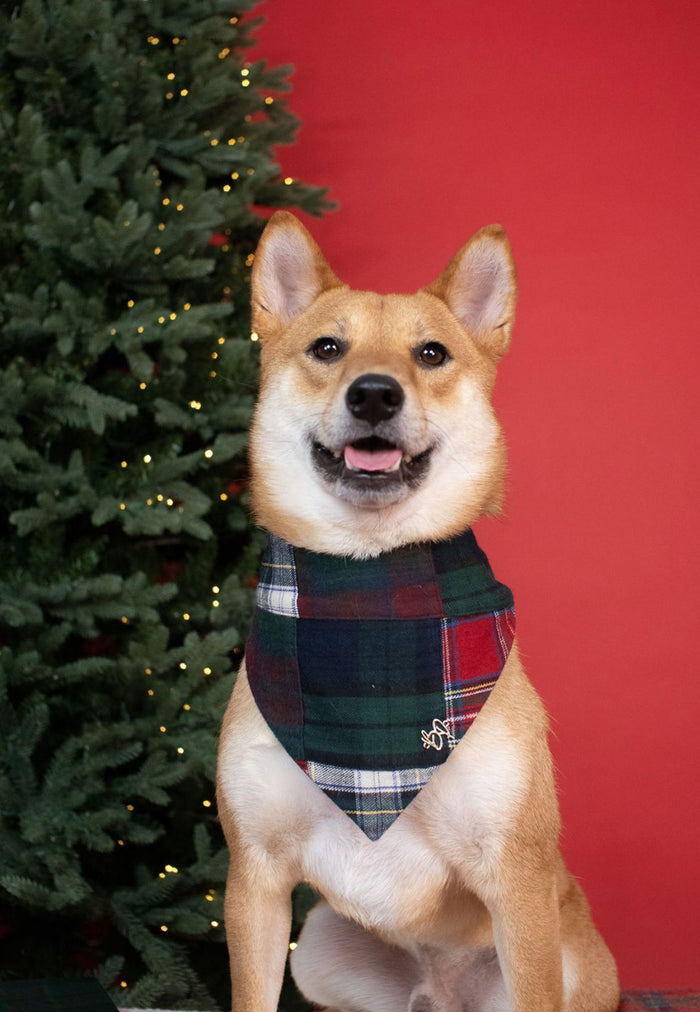Christmas Patchwork Check Bandana