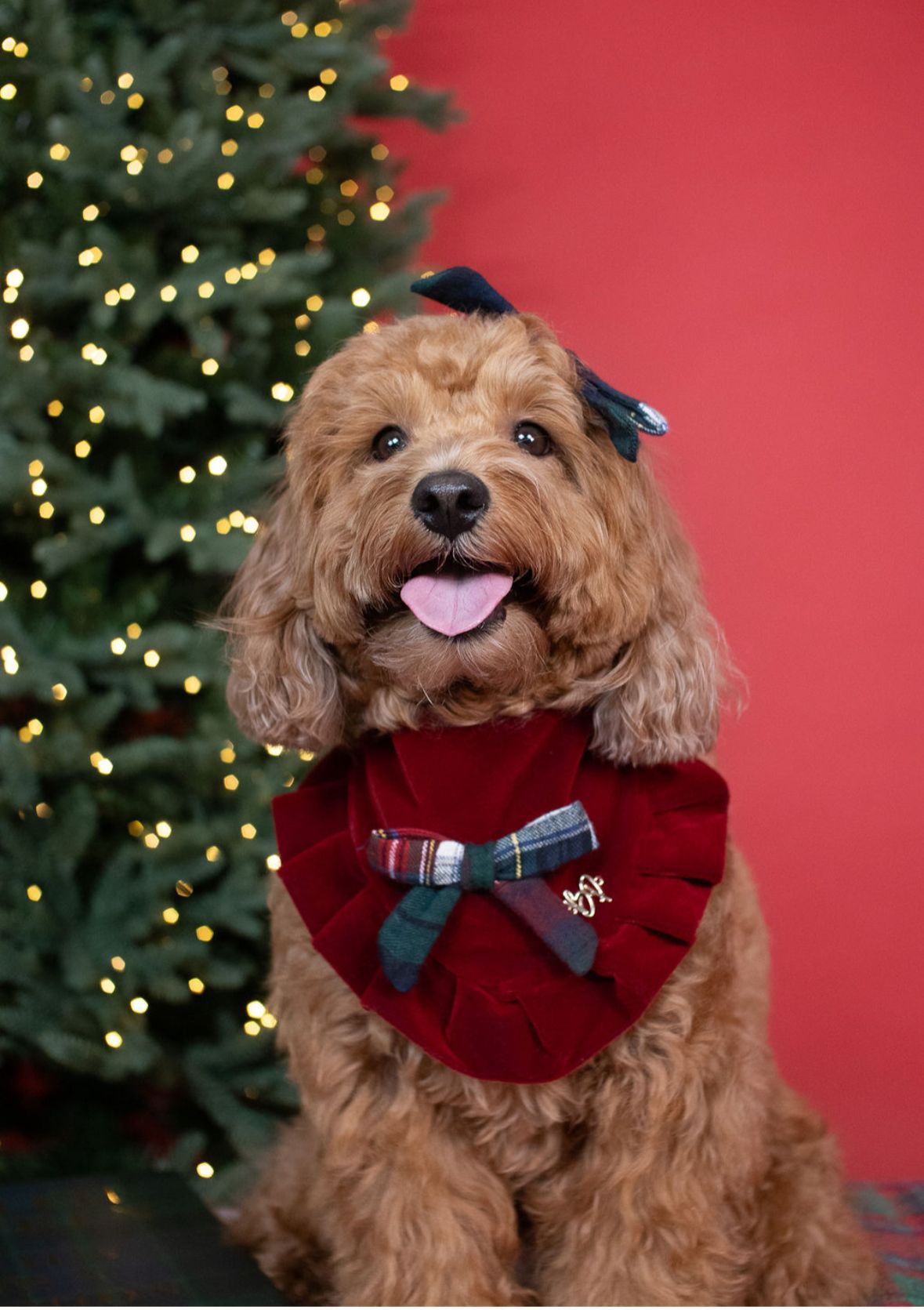 Classic Holiday Velvet Bandana
